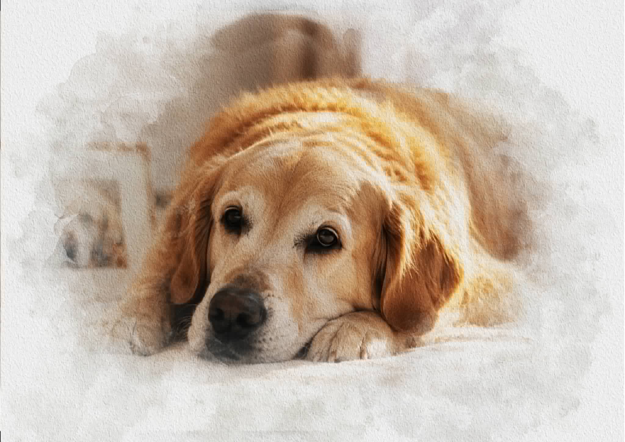 Memorial portraits